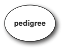 
pedigree